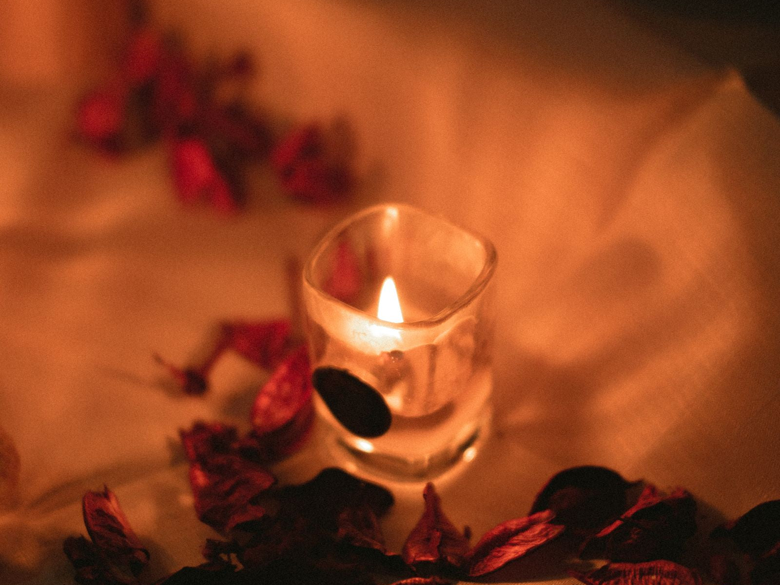 Mum ışığı ve gül yaprakları — romantik akşam atmosferi