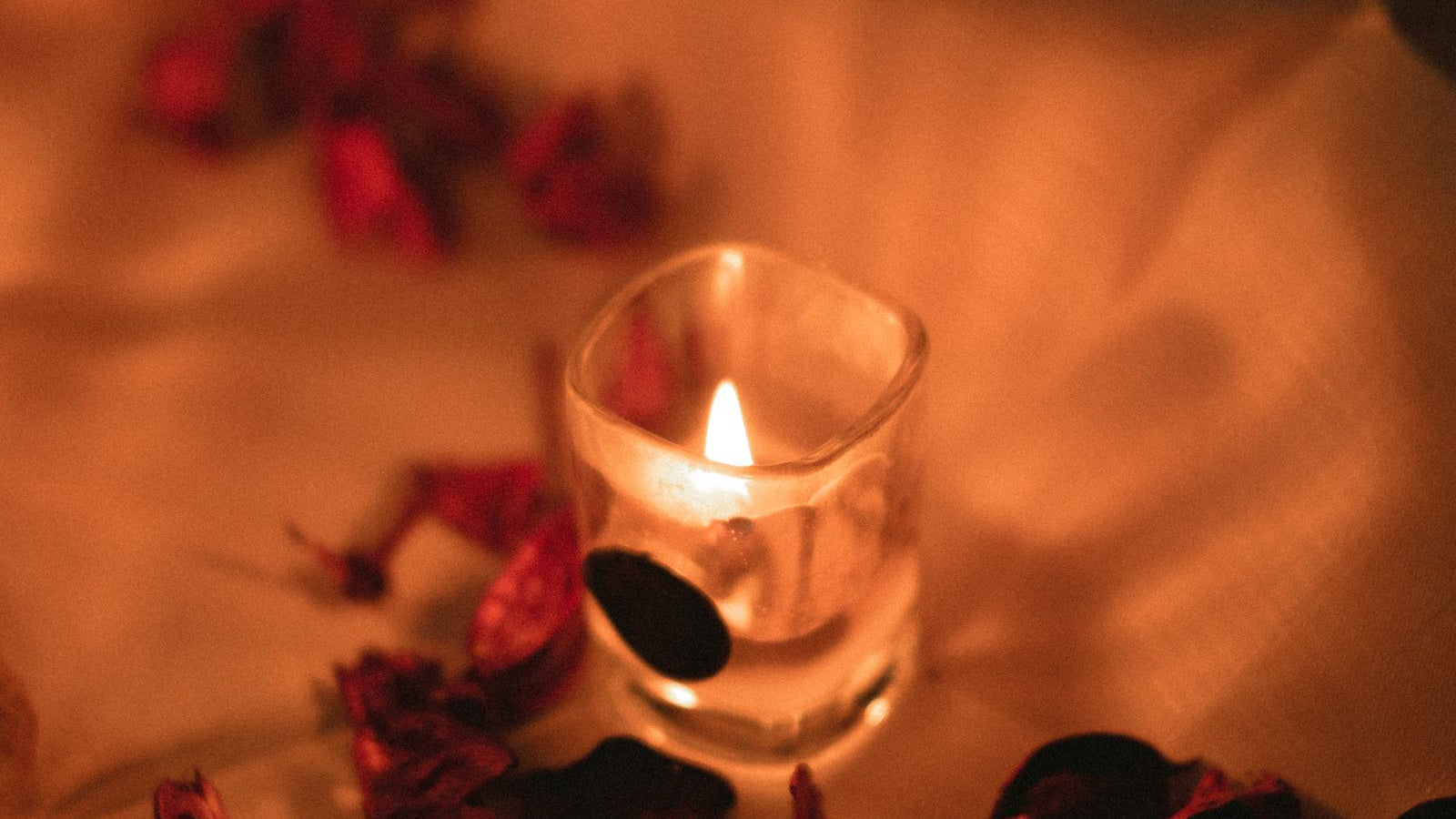 Mum ışığı ve gül yaprakları — romantik akşam atmosferi