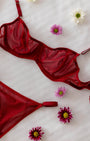 Velvet Bordo Tül Desteksiz Bralet Takım